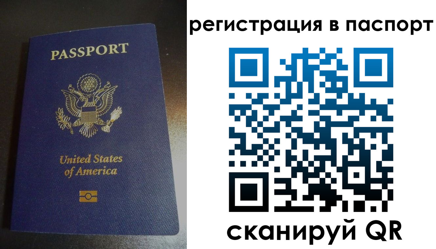 прописка для школы в Петрозаводске